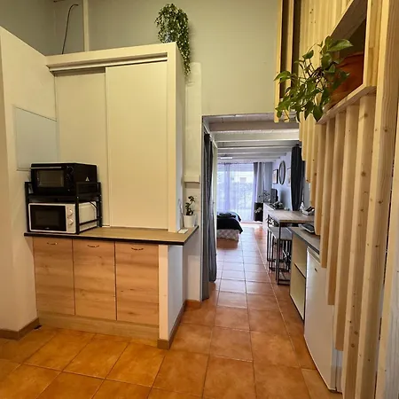 Appartement Escale Aux Pieds Des Pyrenees Miramont-de-Comminges